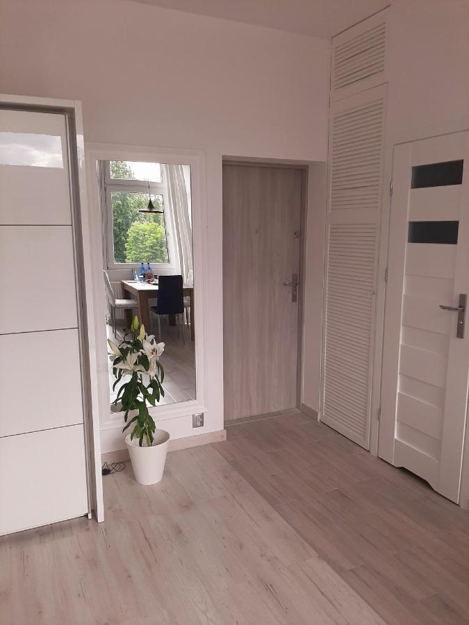 Apartament Hollywood Piotrkowska Klimat,jakość,styl *